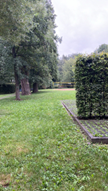 Blick in den Park Evangelisches Bildungszentrum Moritzburg